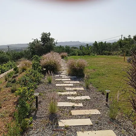 Afea * Platanias (Crete)